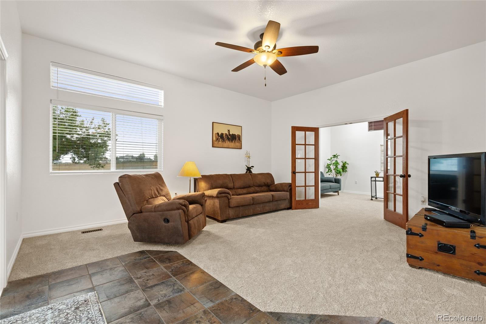MLS Image #8 for 29240 e 162nd avenue,brighton, Colorado