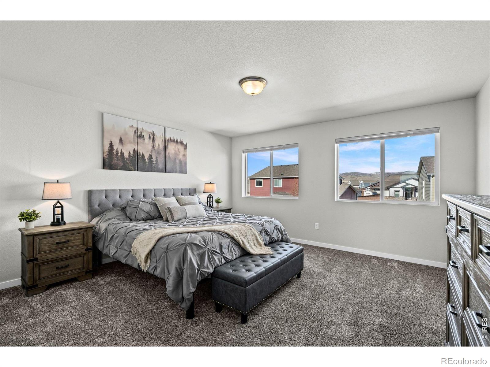 MLS Image #21 for 5523  segundo drive,loveland, Colorado