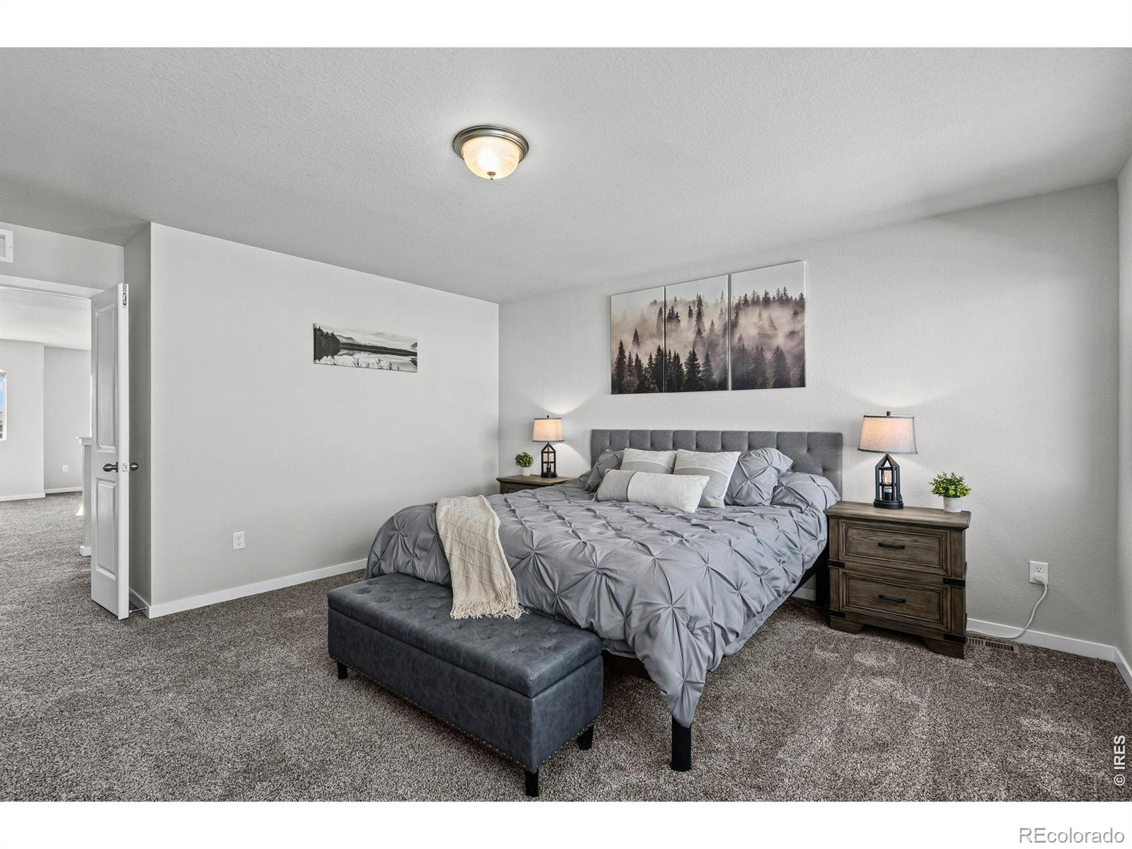 MLS Image #22 for 5523  segundo drive,loveland, Colorado