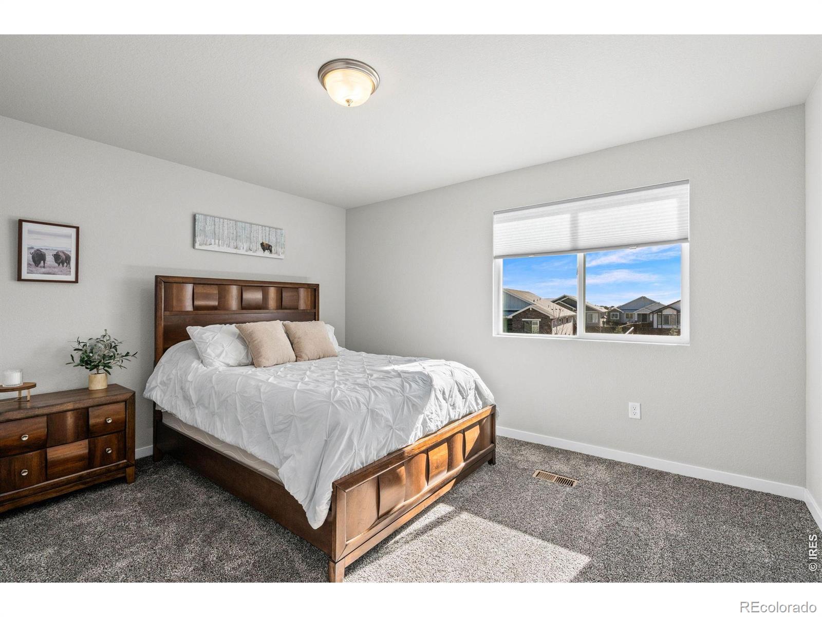 MLS Image #29 for 5523  segundo drive,loveland, Colorado