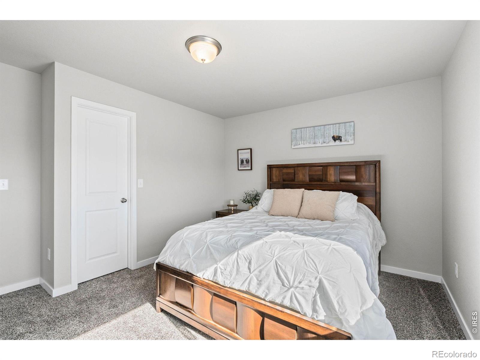 MLS Image #30 for 5523  segundo drive,loveland, Colorado