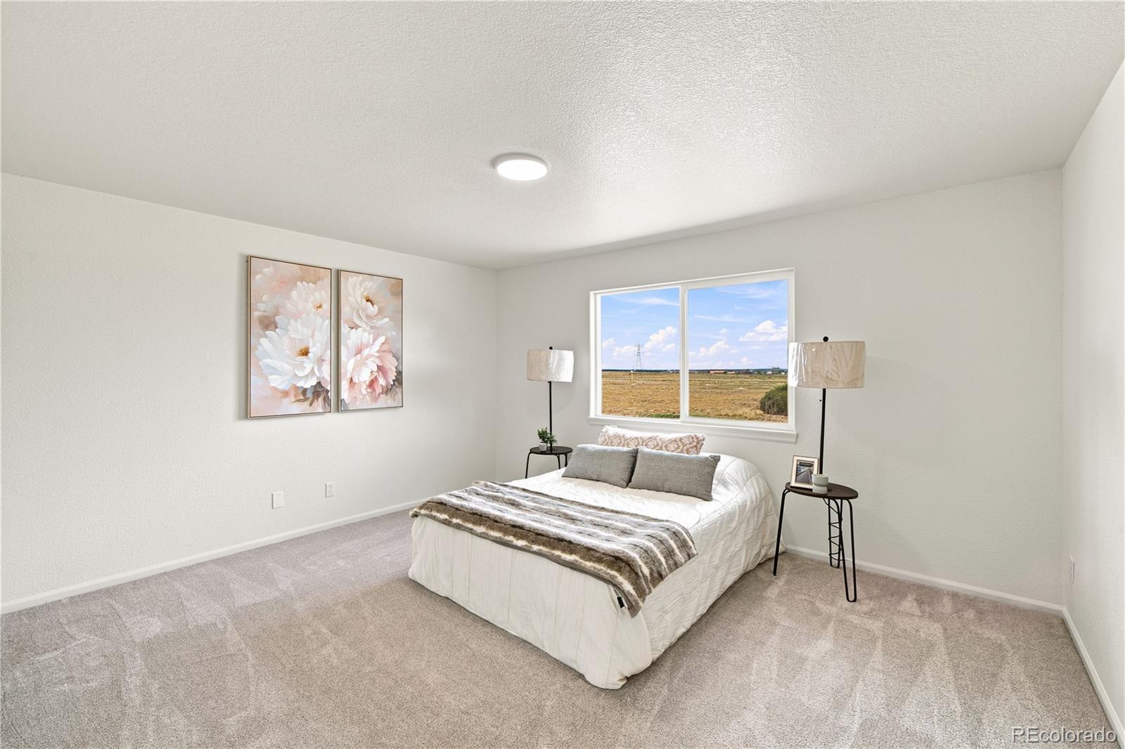 MLS Image #13 for 1124 e lilac court,pueblo west, Colorado