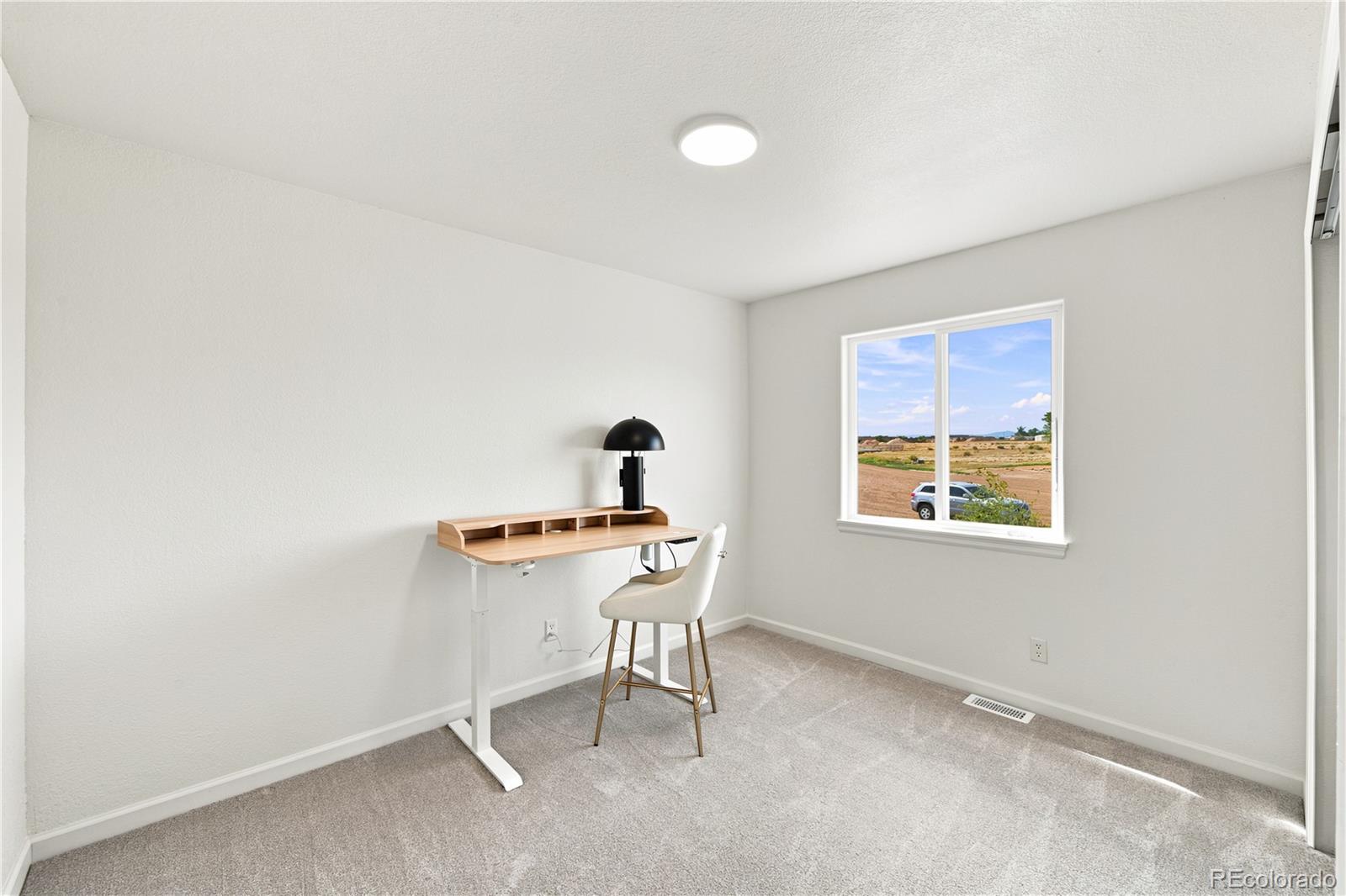MLS Image #20 for 1124 e lilac court,pueblo west, Colorado