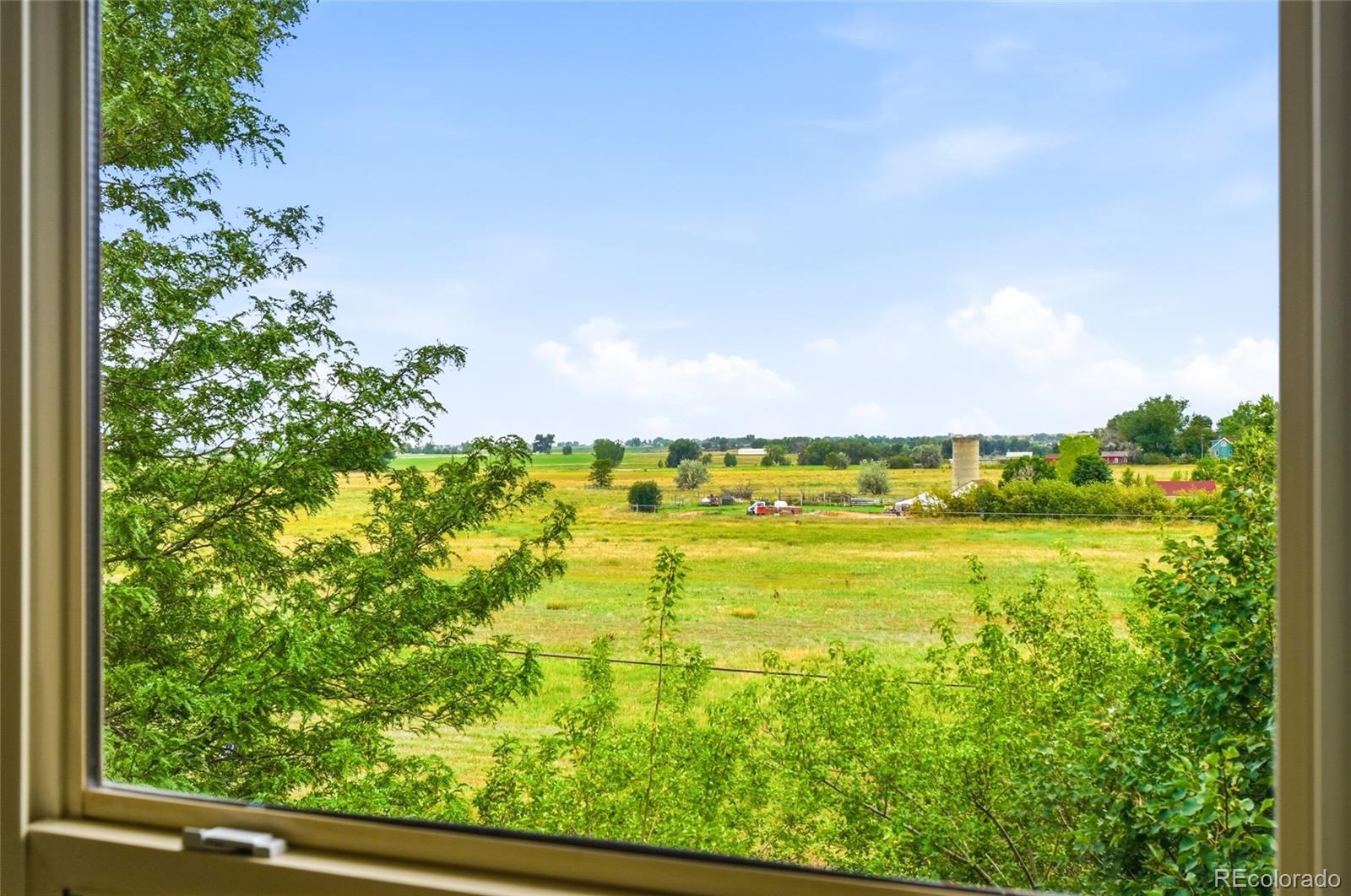 MLS Image #20 for 2413  water cress court,longmont, Colorado
