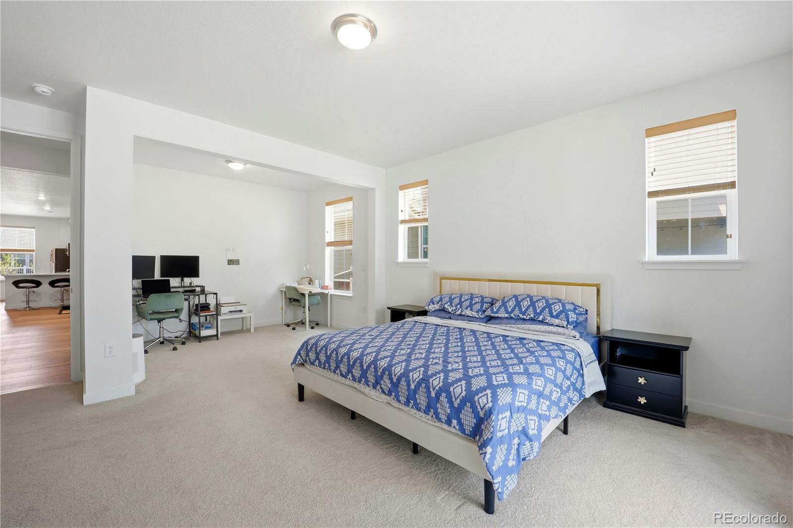 MLS Image #36 for 17031  desert wine trail,parker, Colorado