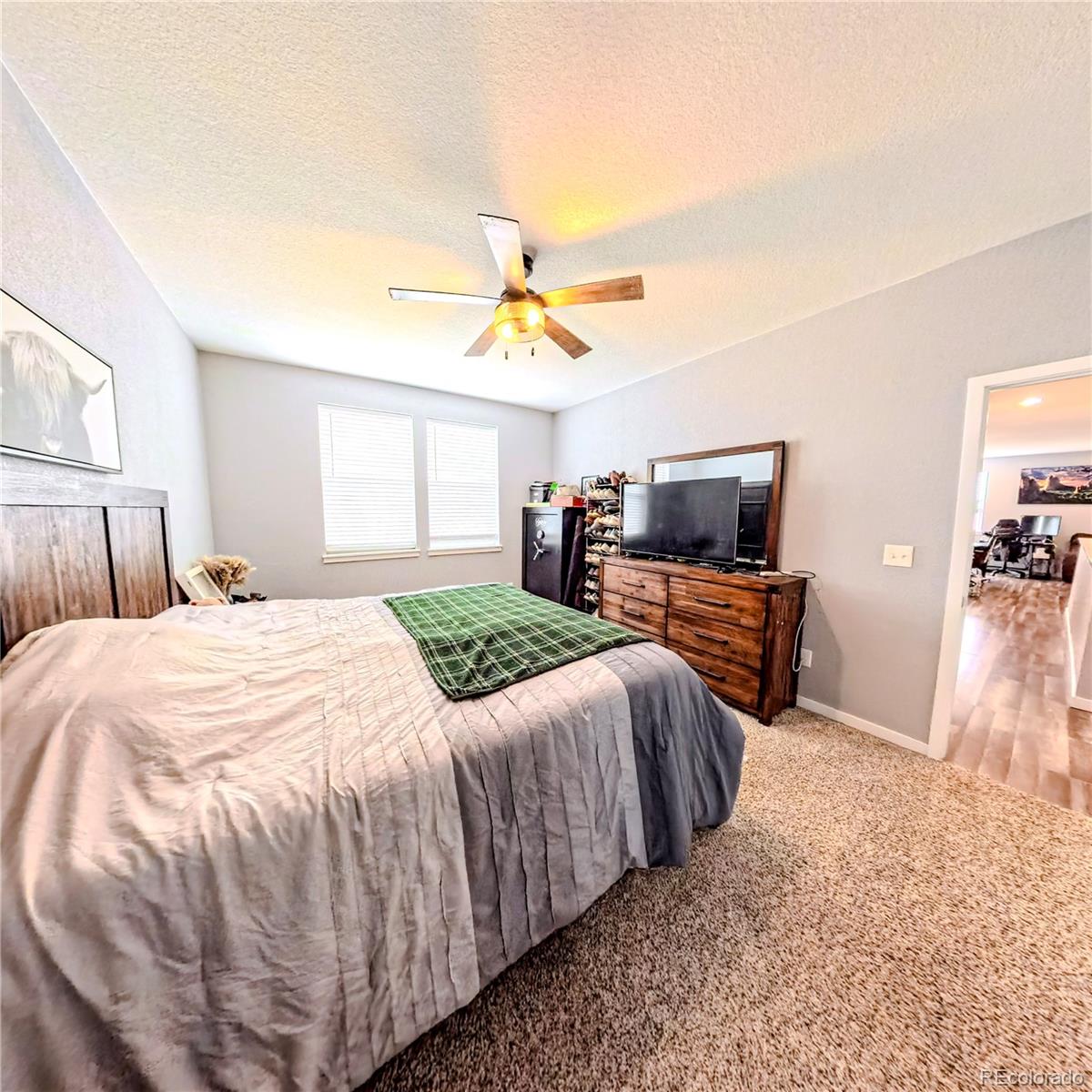 MLS Image #10 for 447 s 3rd avenue,deer trail, Colorado