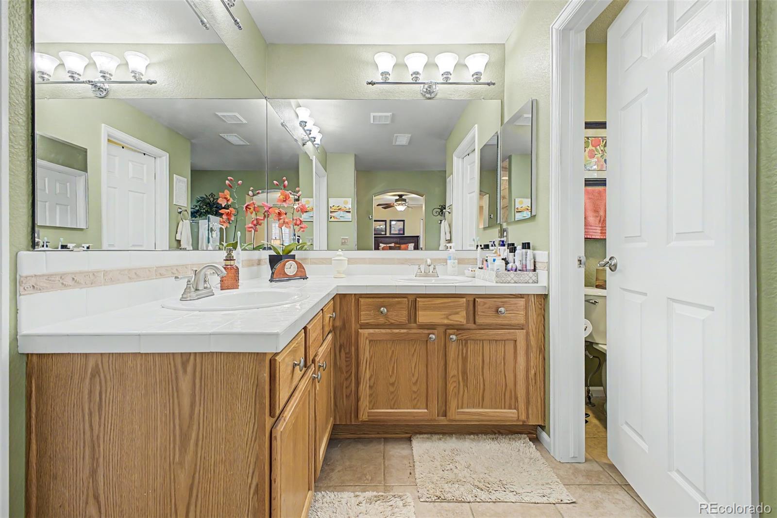 MLS Image #21 for 4  whitehaven circle,highlands ranch, Colorado