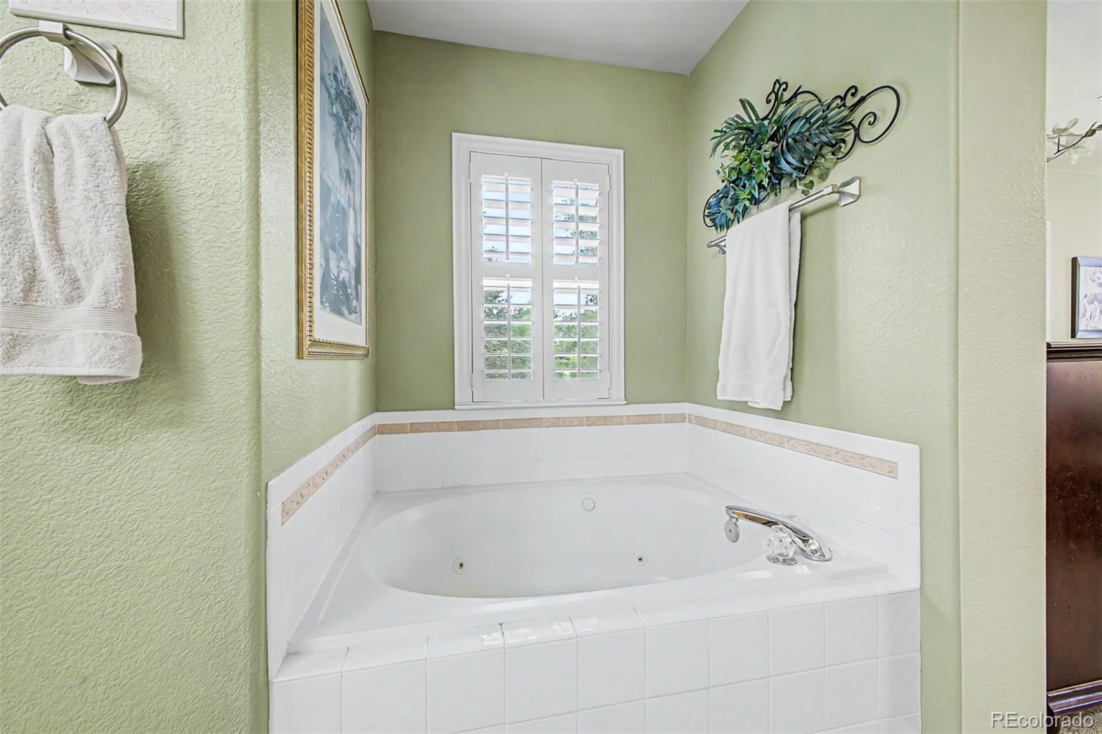MLS Image #23 for 4  whitehaven circle,highlands ranch, Colorado