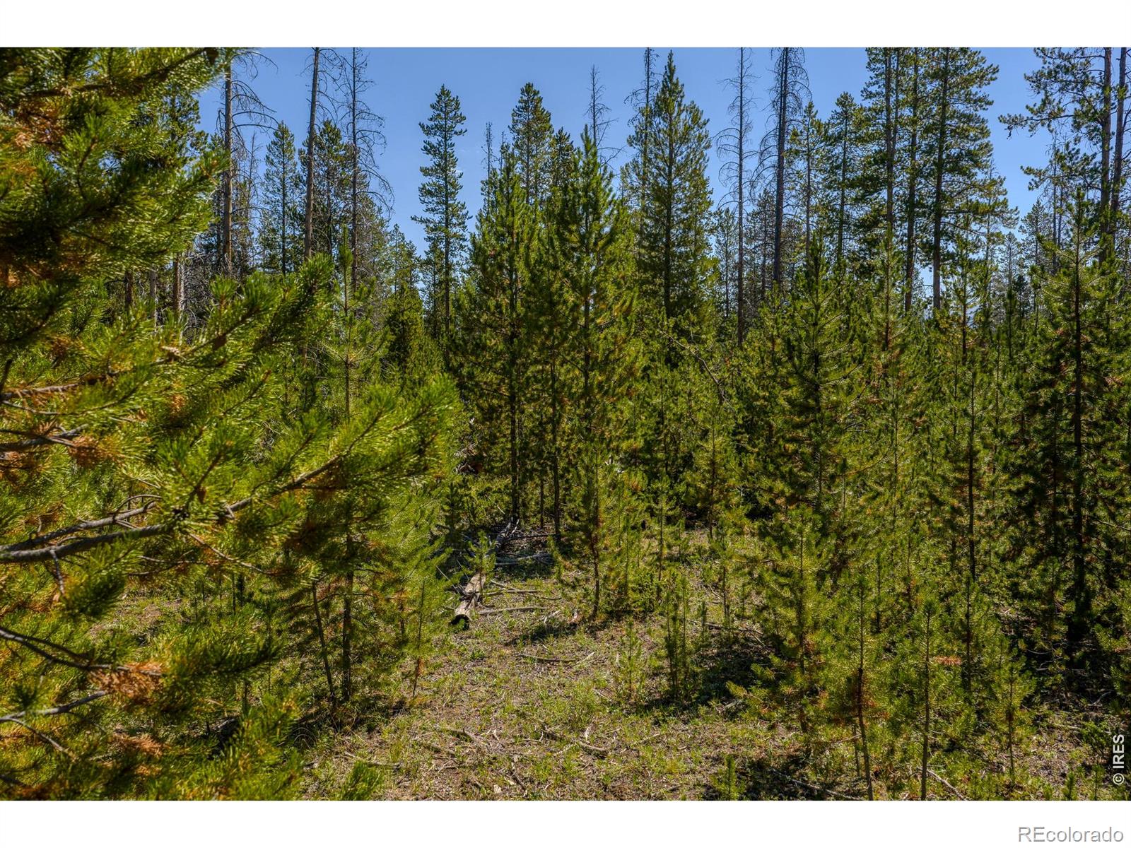 MLS Image #7 for 6566  highway 125 ,rand, Colorado