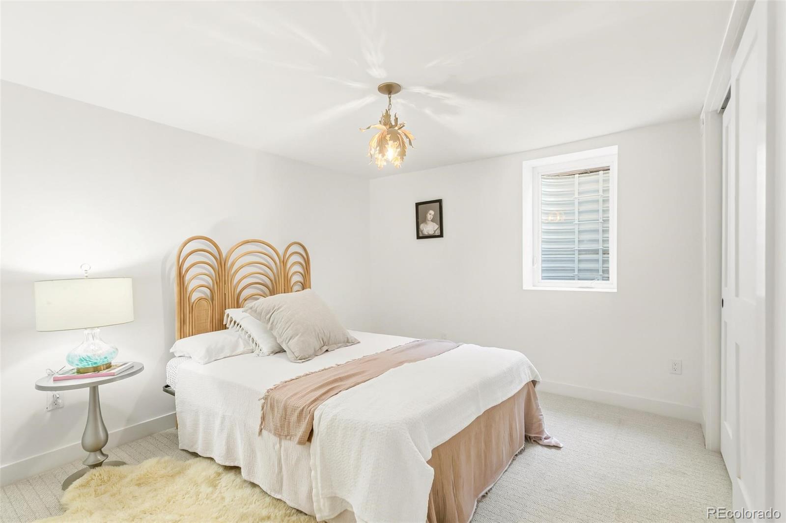 MLS Image #39 for 1005  garfield street,denver, Colorado