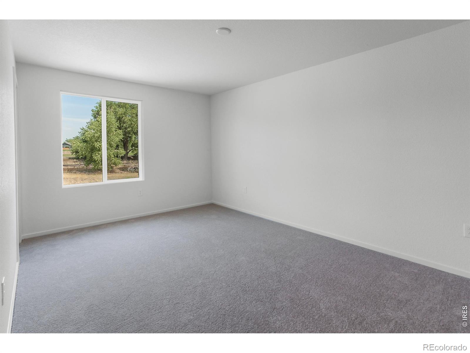 MLS Image #27 for 3116  barnstormer street,fort collins, Colorado