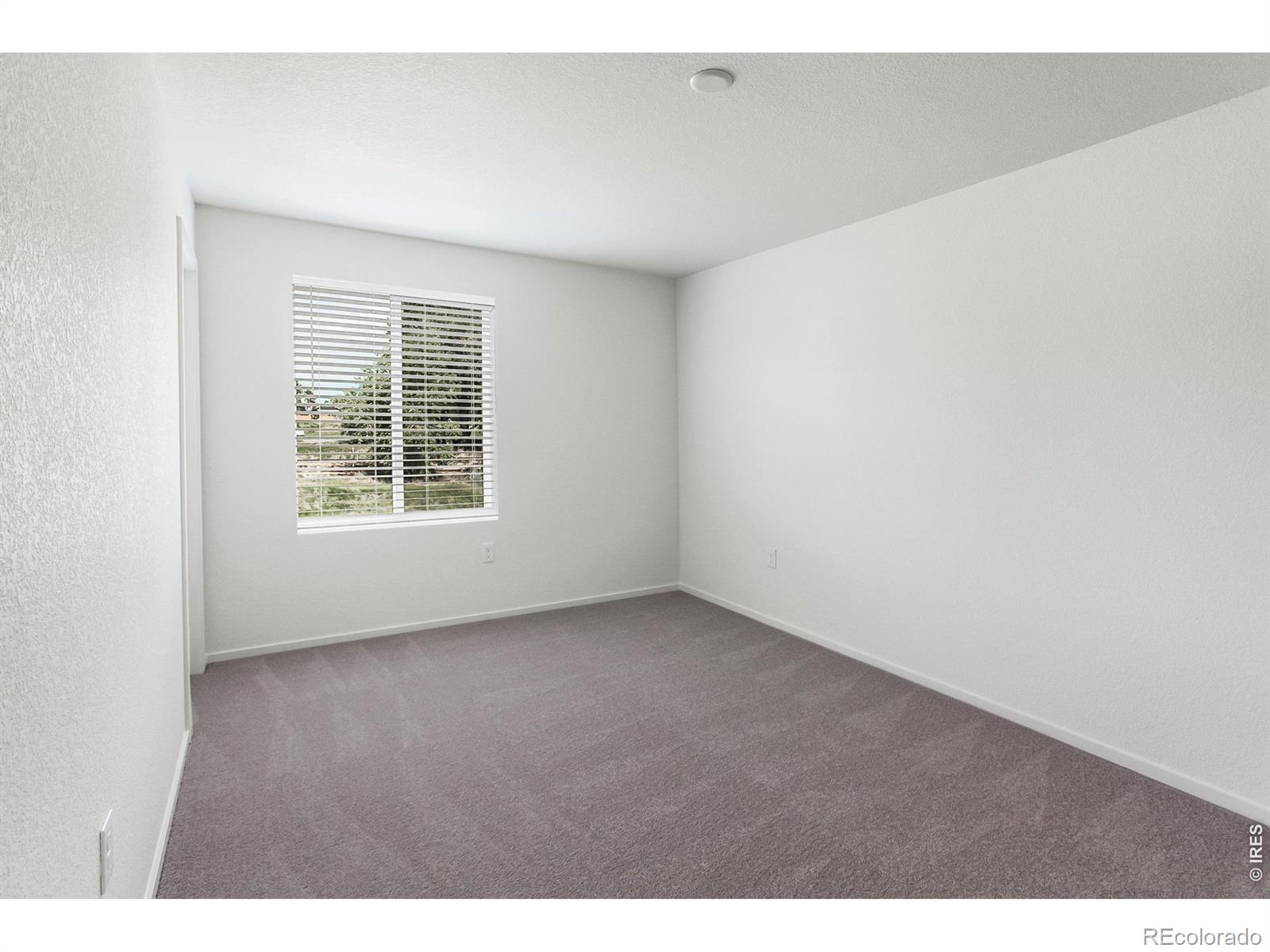 MLS Image #30 for 3116  barnstormer street,fort collins, Colorado