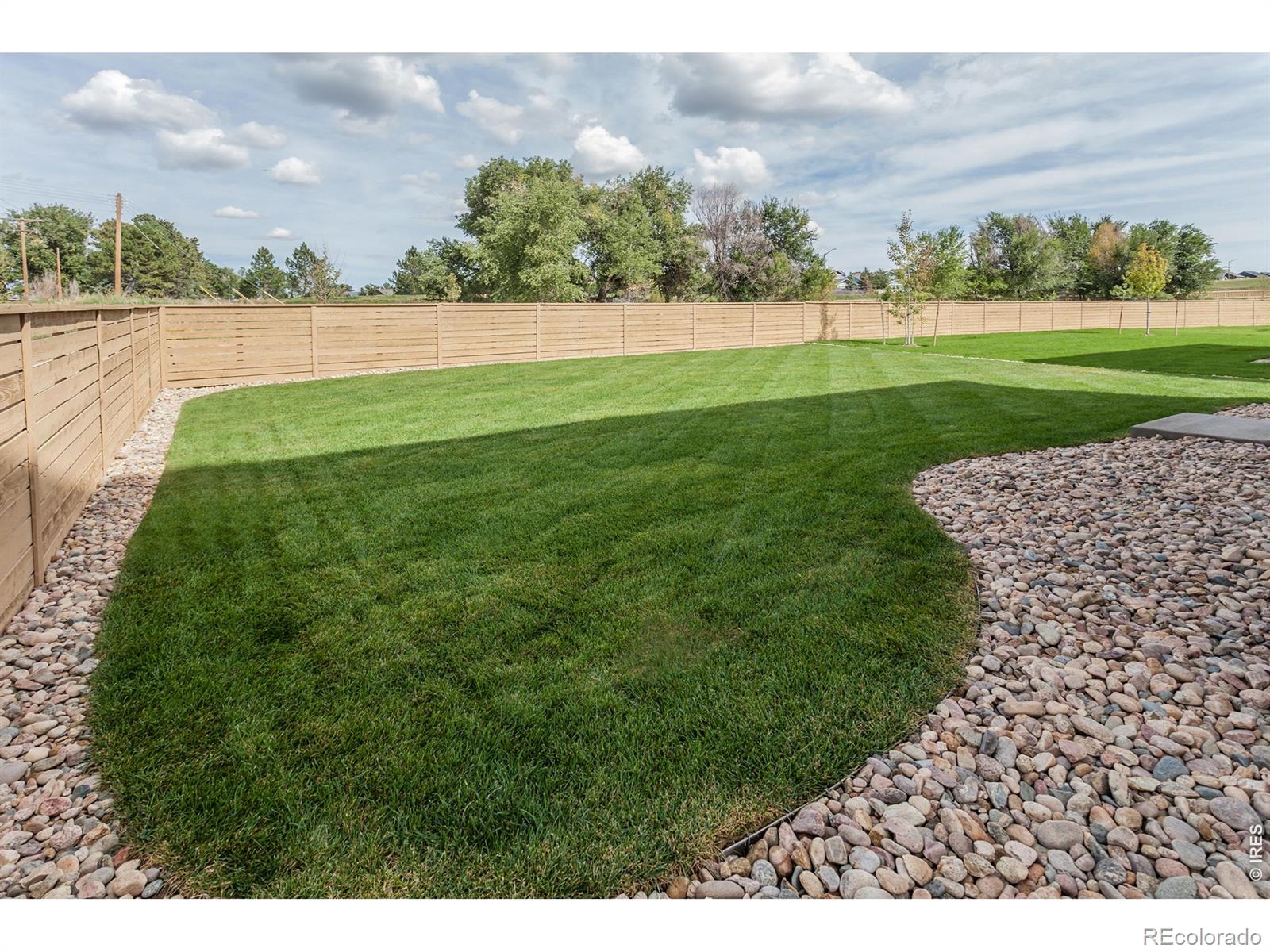 MLS Image #46 for 3116  barnstormer street,fort collins, Colorado