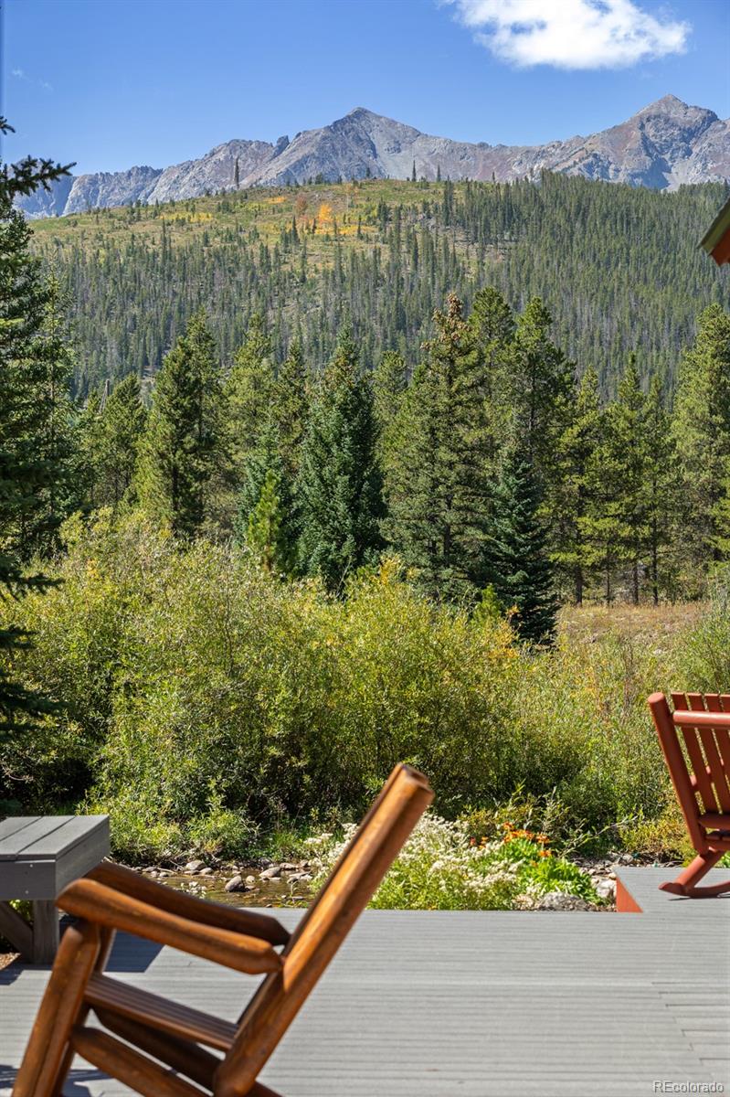 MLS Image #39 for 189  ginger quill lane,breckenridge, Colorado