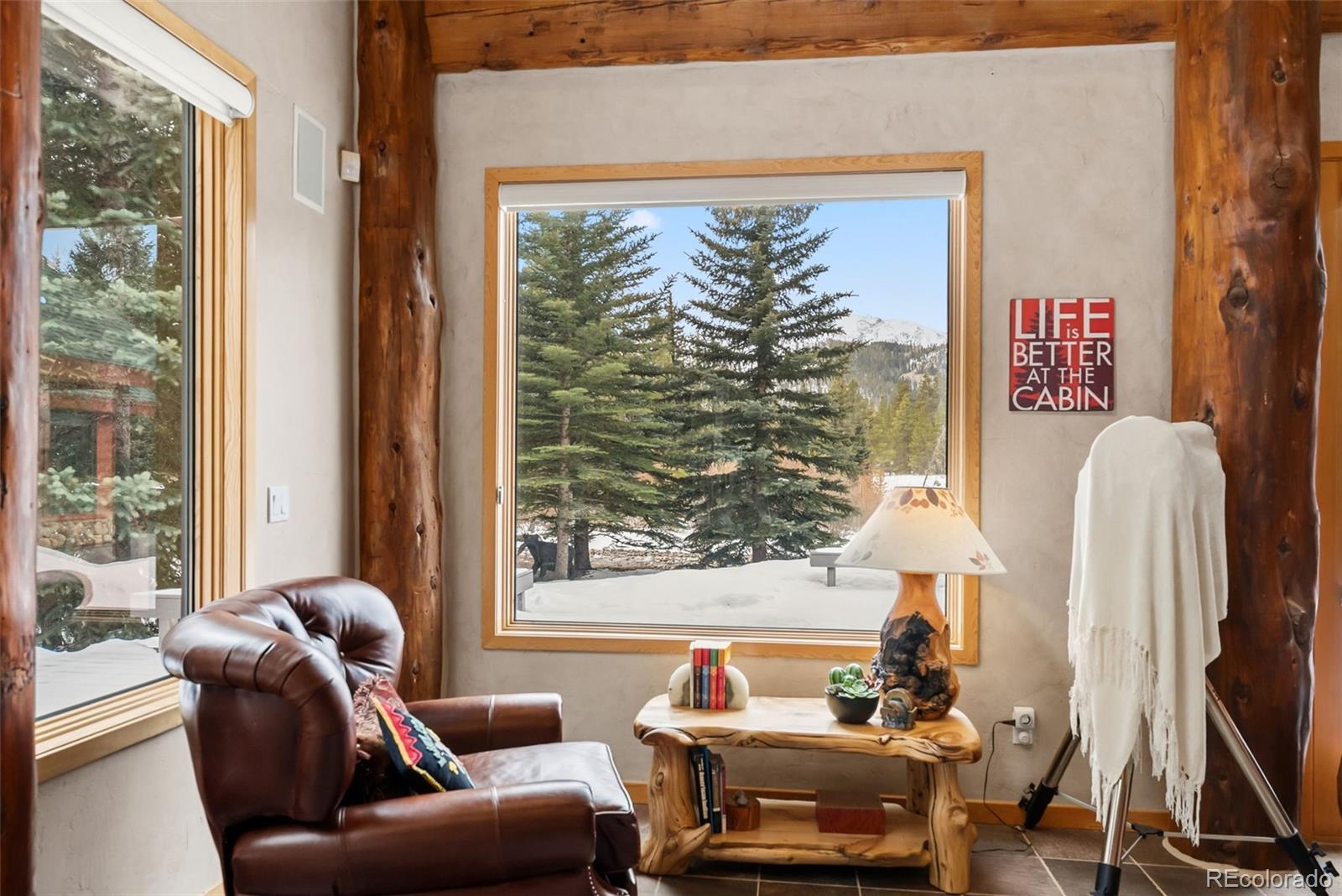 MLS Image #4 for 189  ginger quill lane,breckenridge, Colorado