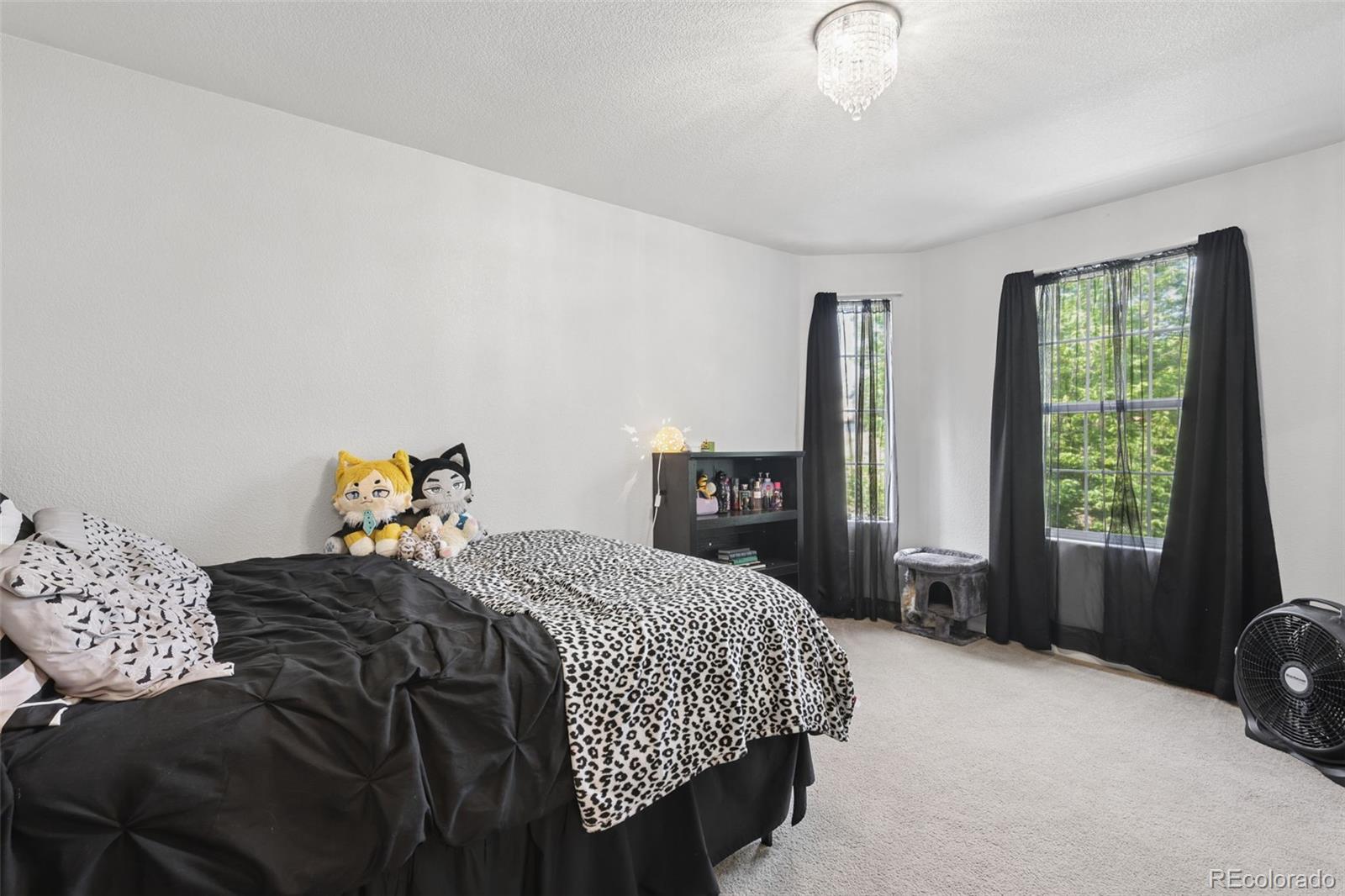 MLS Image #19 for 2028  st james drive,colorado springs, Colorado