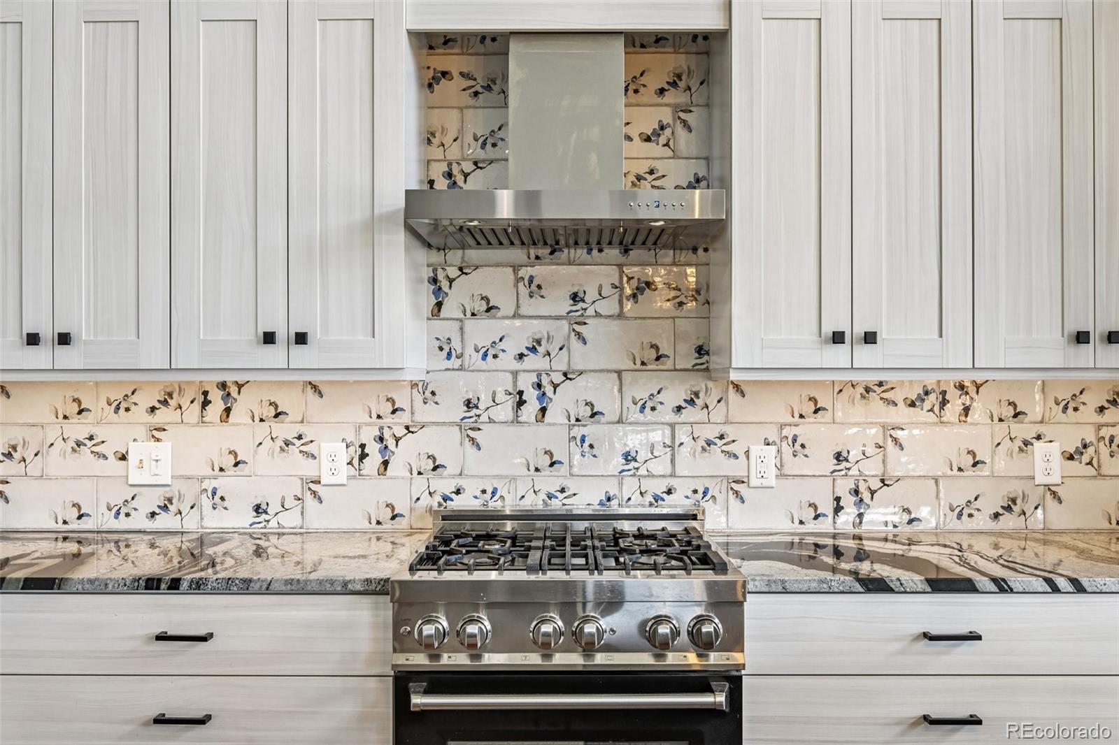 MLS Image #6 for 1245  highland meadows drive,florissant, Colorado