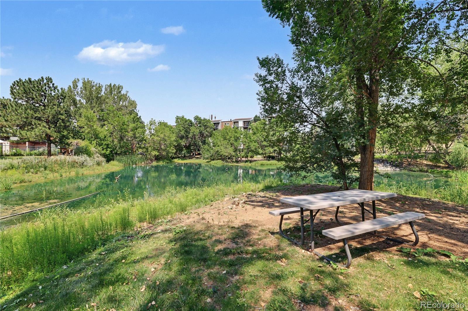 MLS Image #21 for 1300  golden circle,golden, Colorado