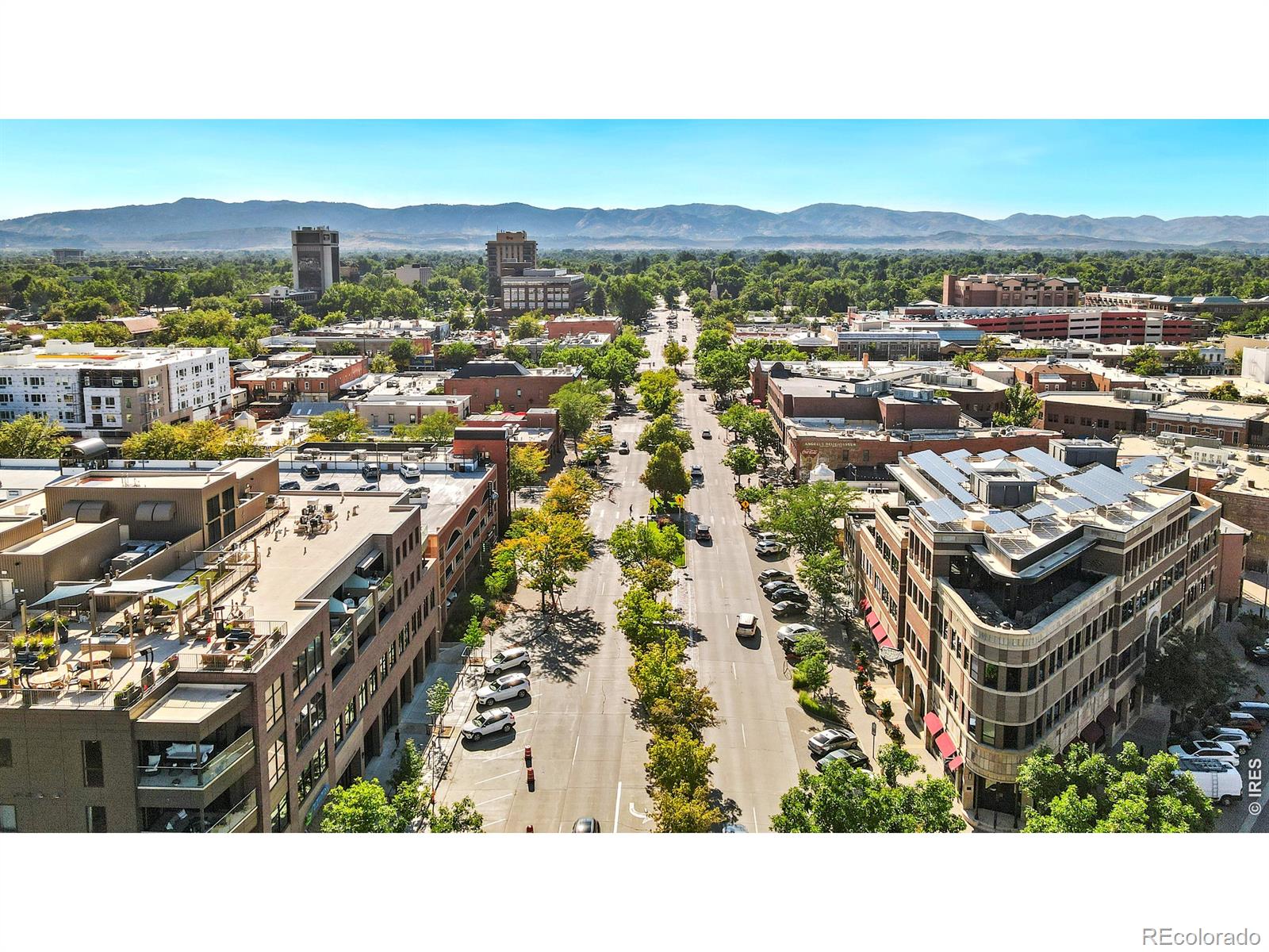 MLS Image #38 for 1014  andrews peak drive,fort collins, Colorado