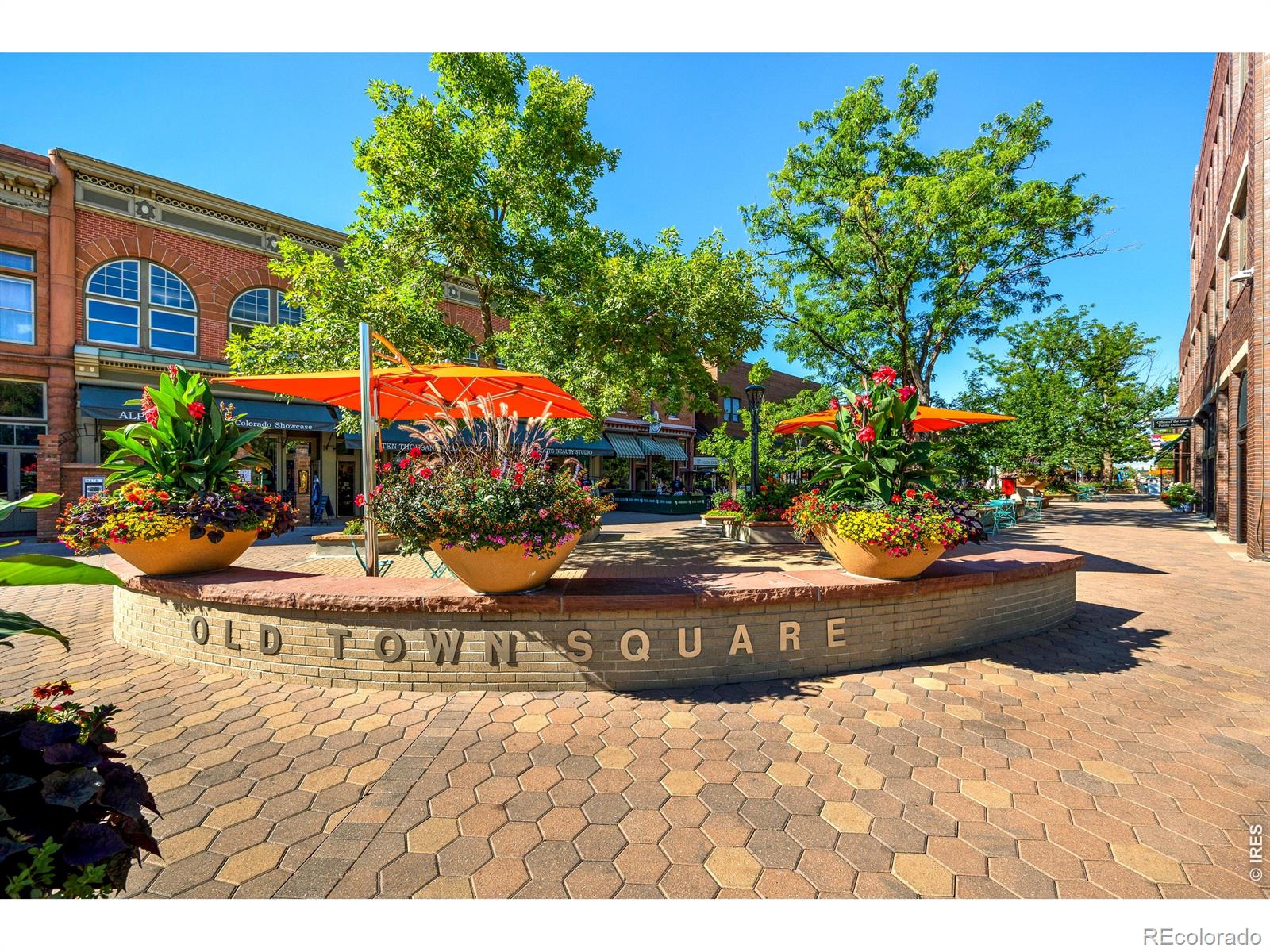 MLS Image #40 for 1014  andrews peak drive,fort collins, Colorado