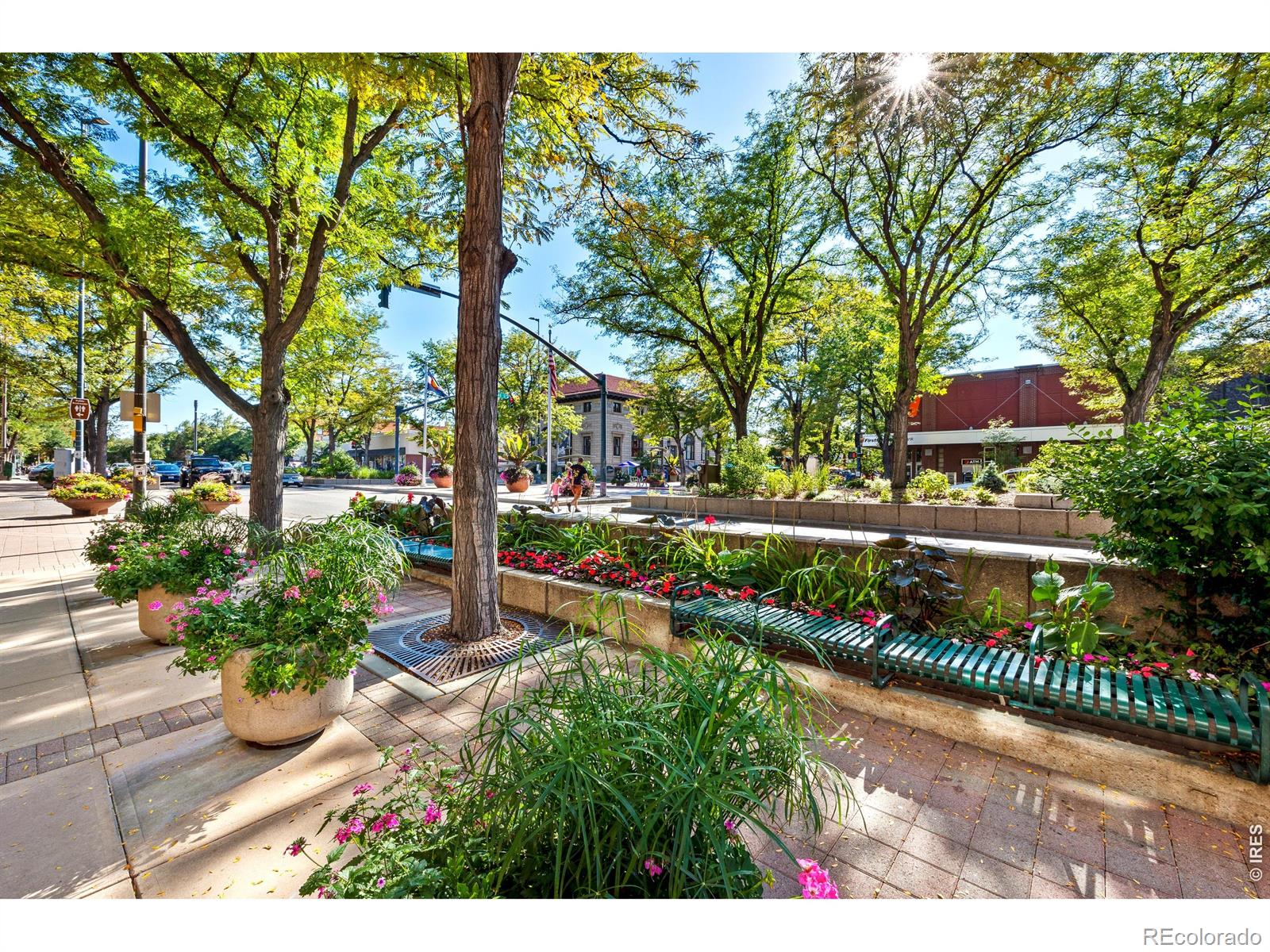 MLS Image #42 for 1014  andrews peak drive,fort collins, Colorado