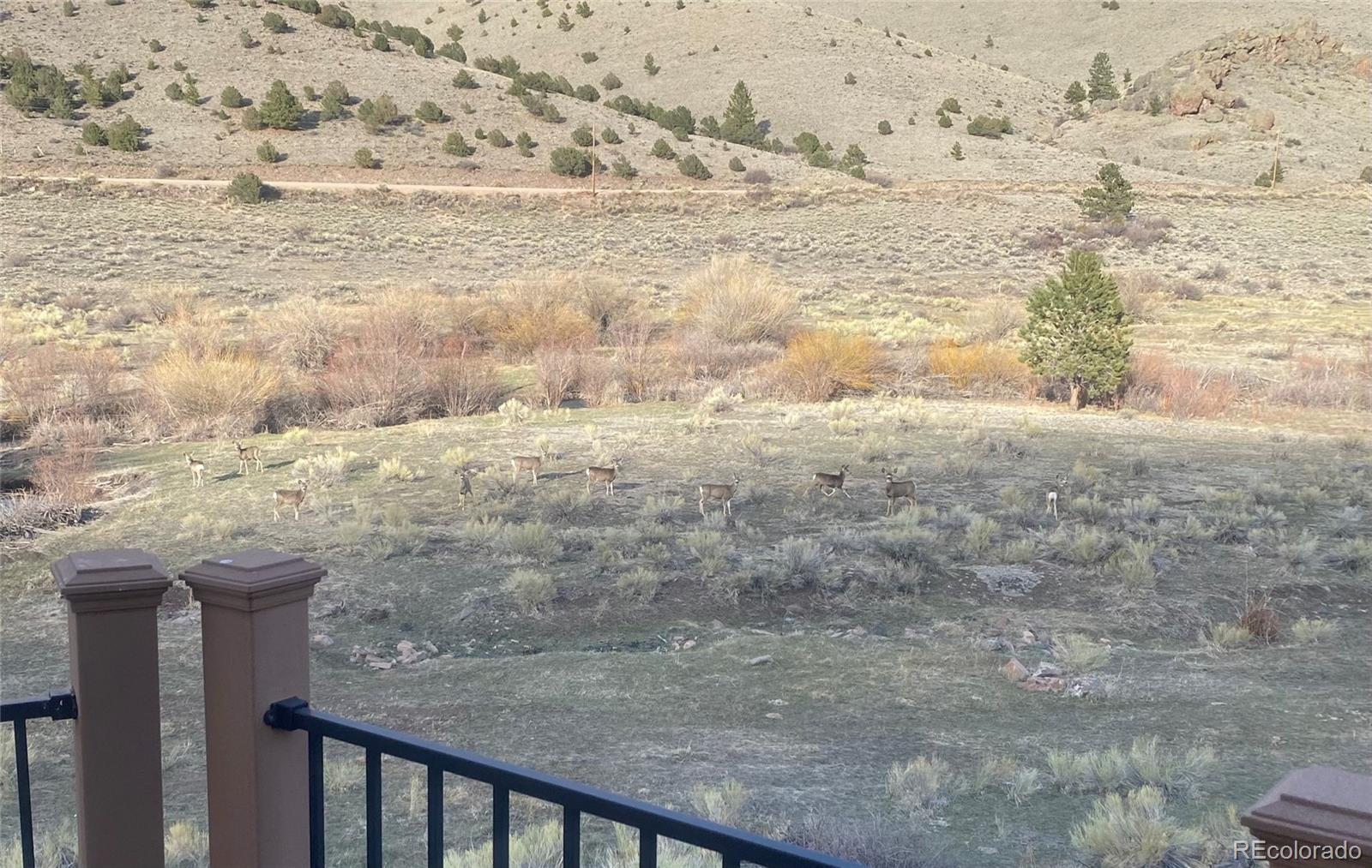 MLS Image #29 for 34990  county road 41 g ,del norte, Colorado