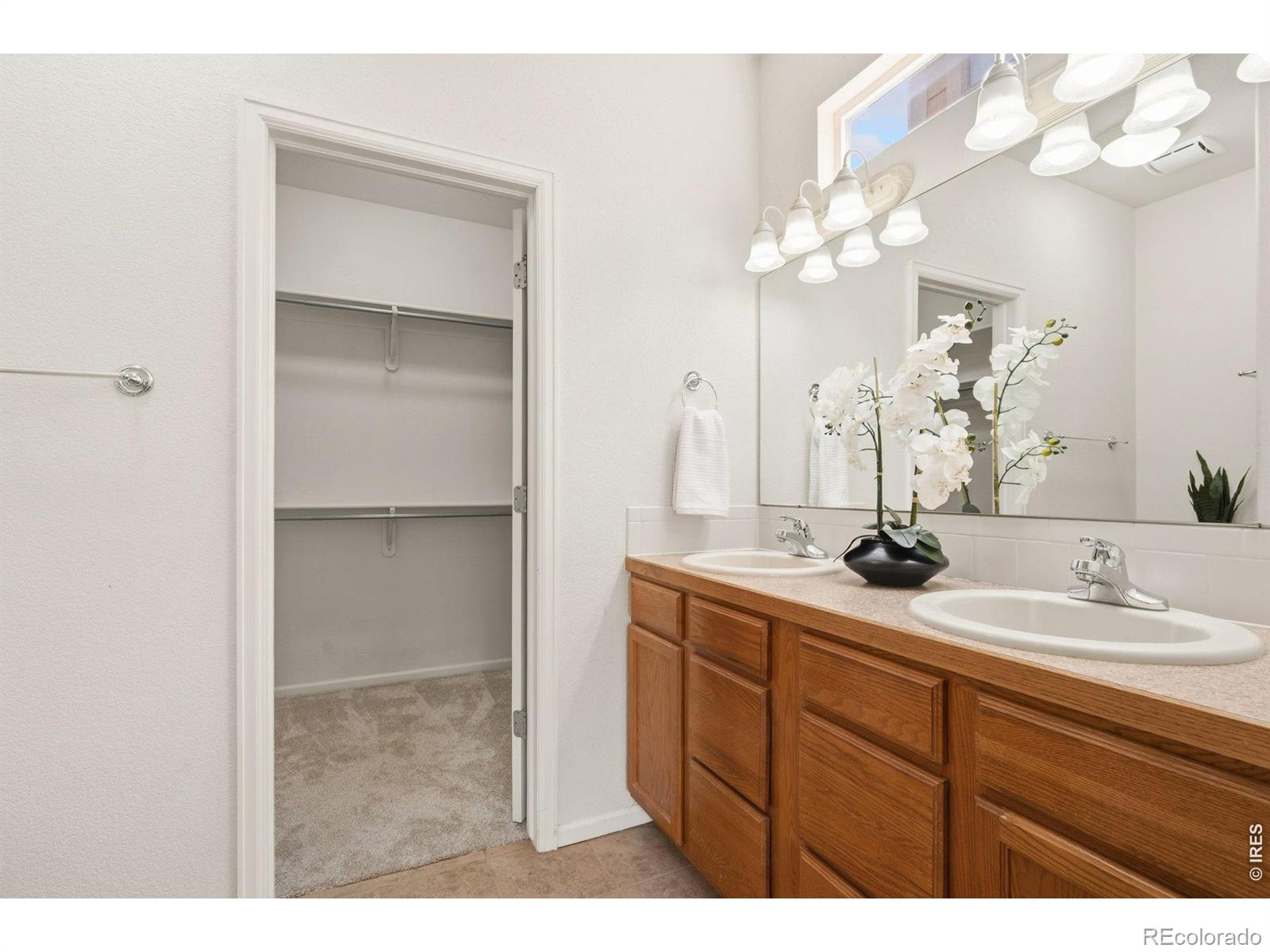 MLS Image #22 for 2908  sanford circle,loveland, Colorado