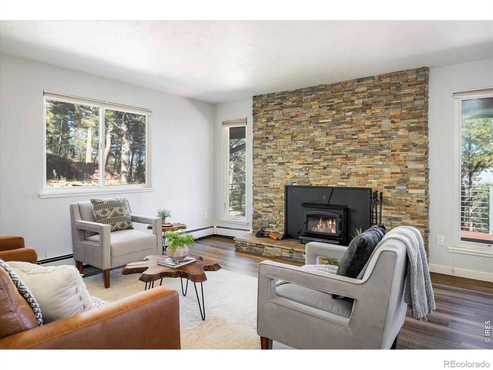 MLS Image #11 for 74  sky trail road,boulder, Colorado