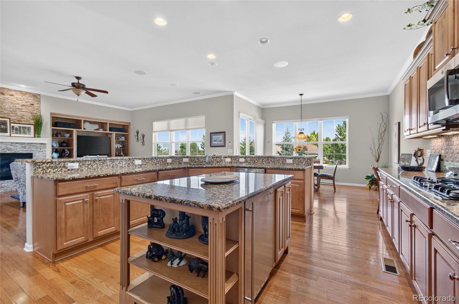 MLS Image #10 for 4575  silver mountain loop,broomfield, Colorado