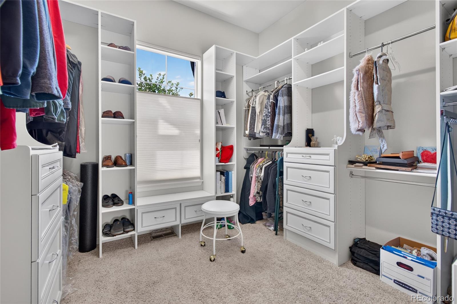 MLS Image #16 for 4575  silver mountain loop,broomfield, Colorado