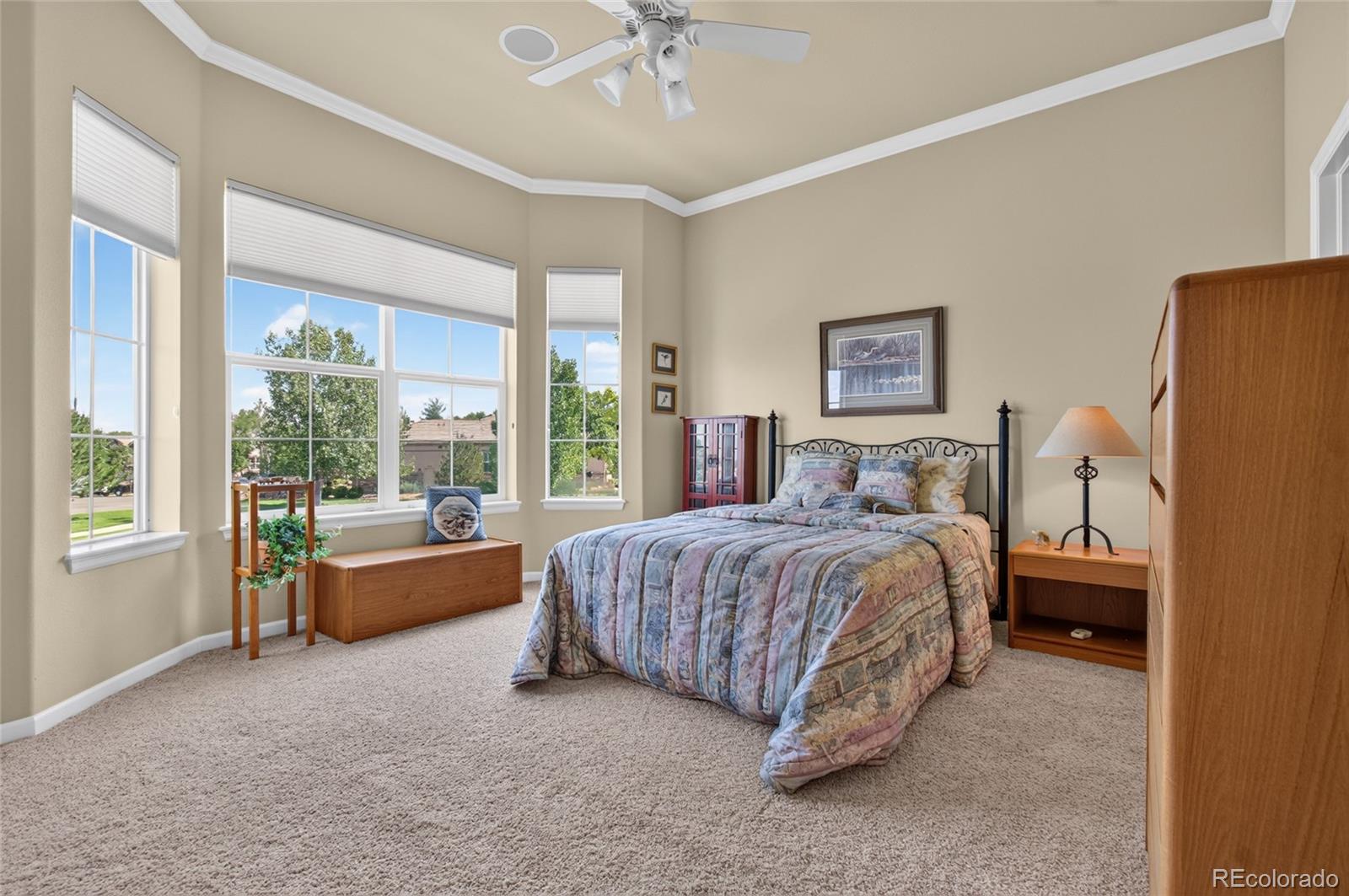 MLS Image #21 for 4575  silver mountain loop,broomfield, Colorado