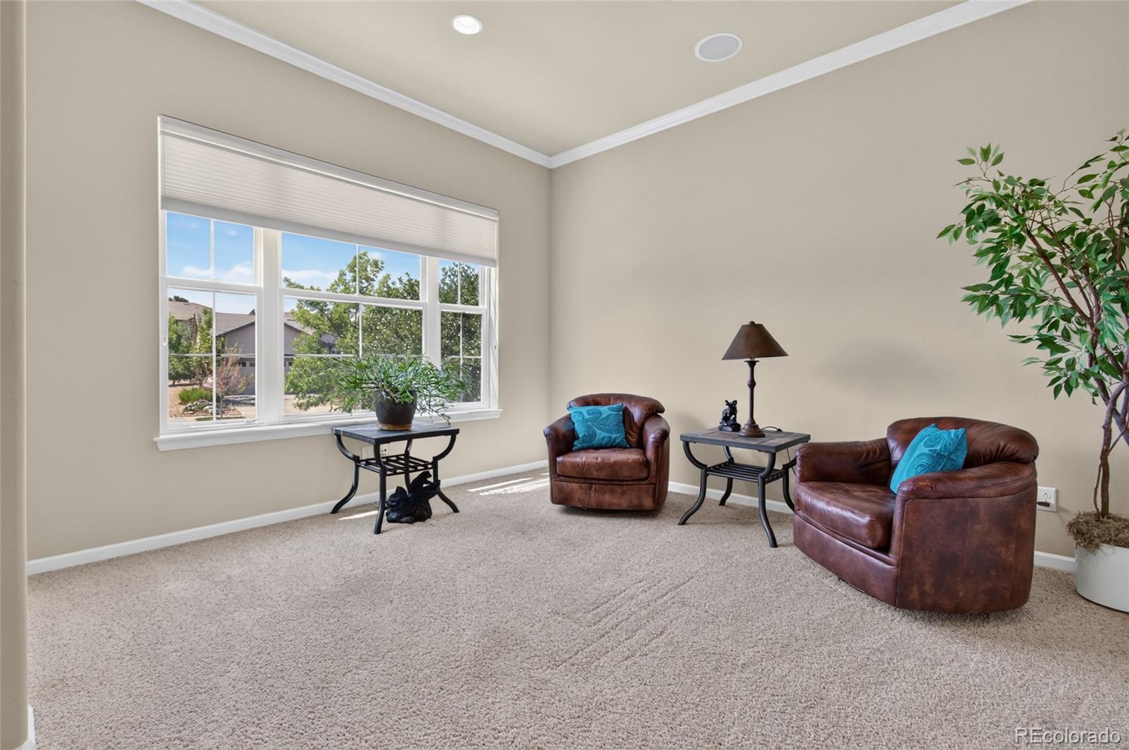 MLS Image #3 for 4575  silver mountain loop,broomfield, Colorado