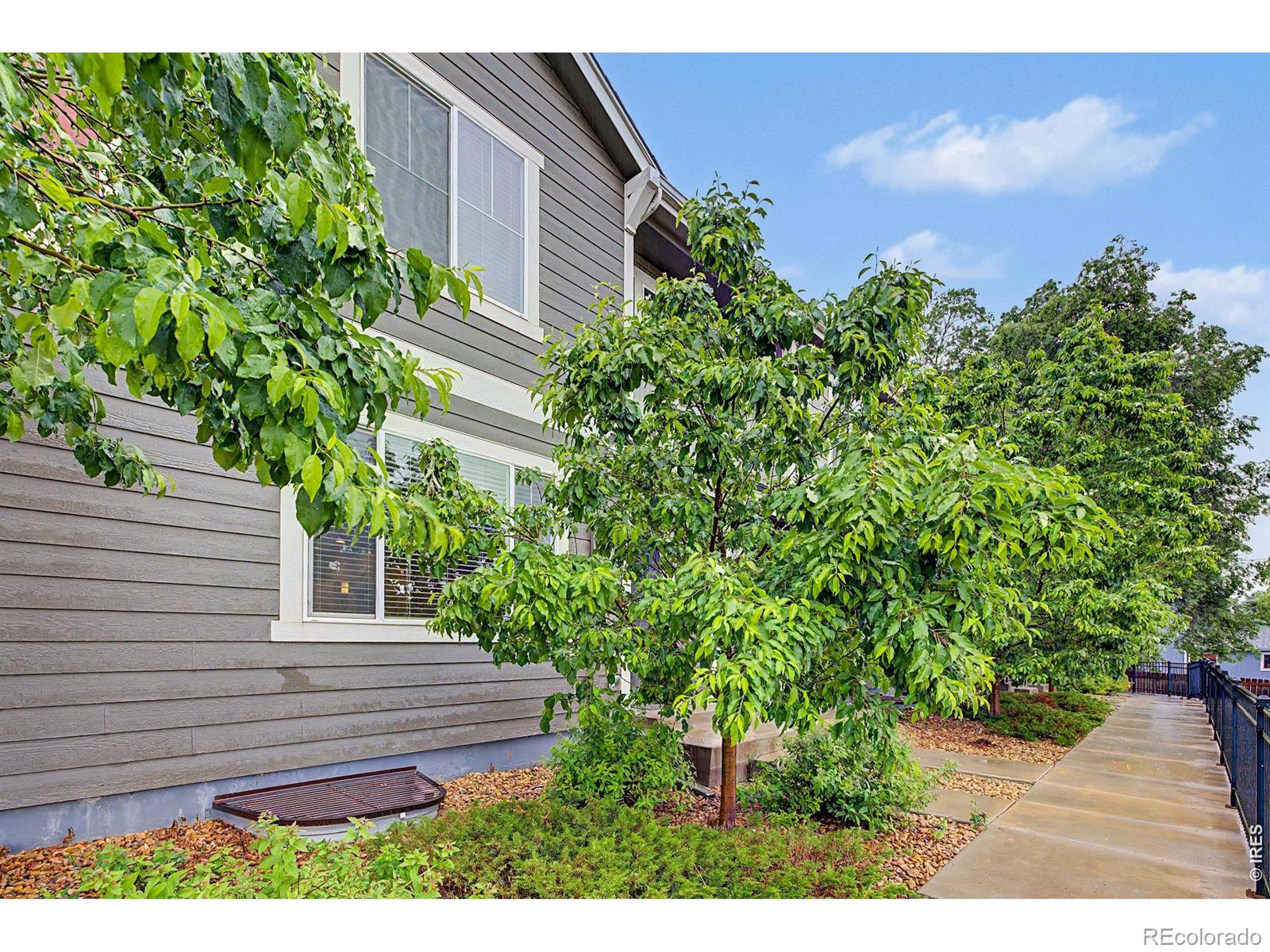 MLS Image #0 for 3502  big ben drive,fort collins, Colorado