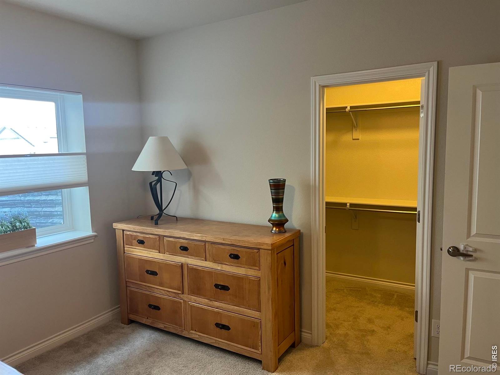 MLS Image #33 for 9390  crestone street,arvada, Colorado