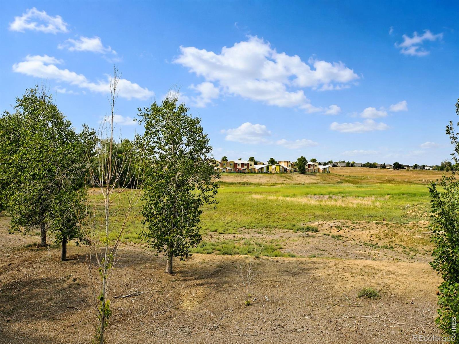 MLS Image #28 for 703  crown ridge lane,fort collins, Colorado