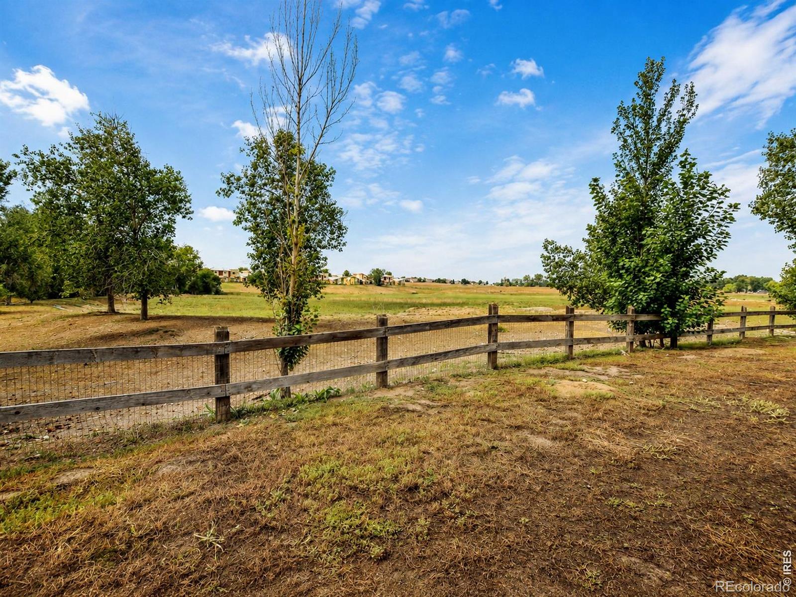 MLS Image #32 for 703  crown ridge lane,fort collins, Colorado