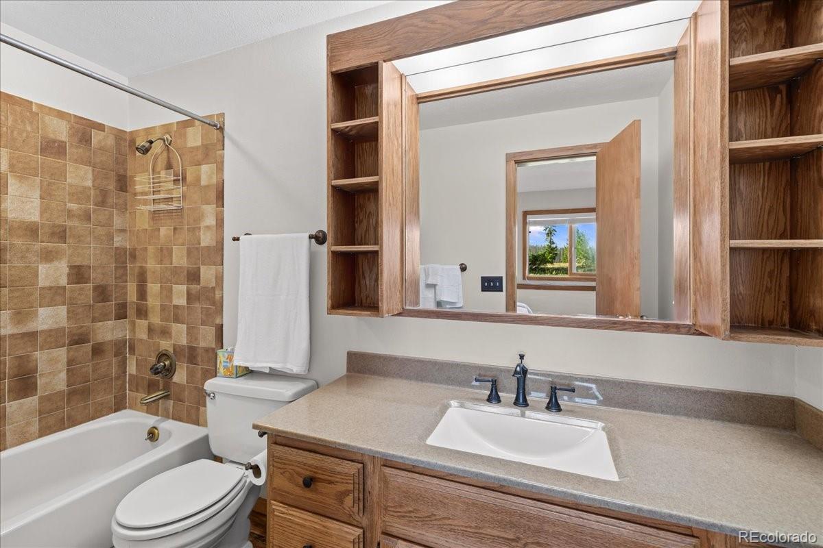 MLS Image #10 for 91300  ryan gulch road,silverthorne, Colorado