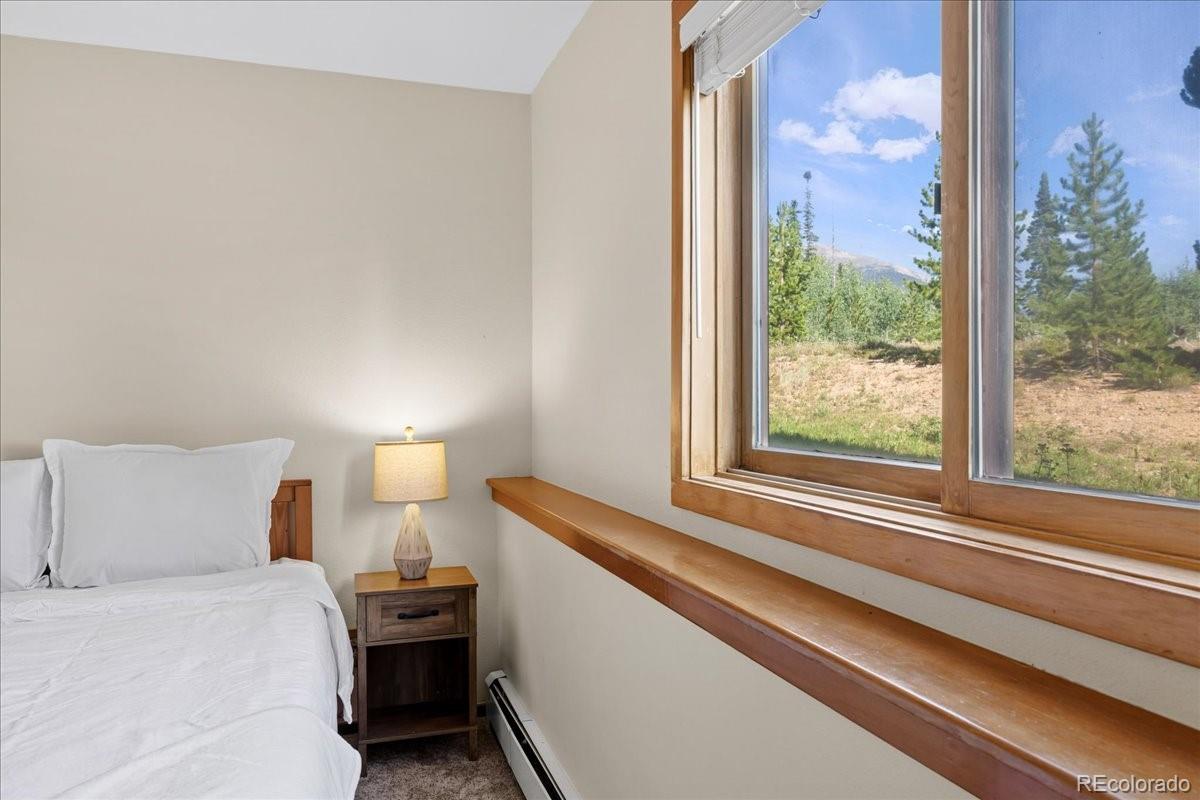 MLS Image #11 for 91300  ryan gulch road,silverthorne, Colorado