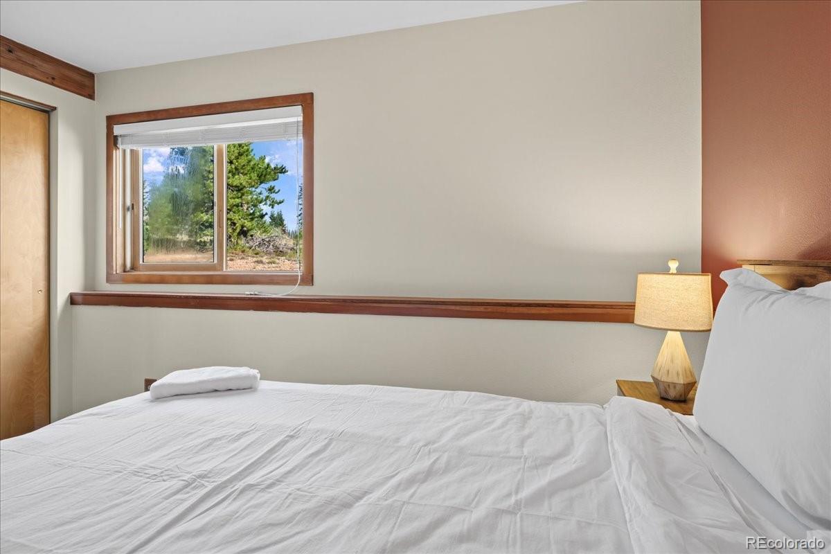 MLS Image #12 for 91300  ryan gulch road,silverthorne, Colorado