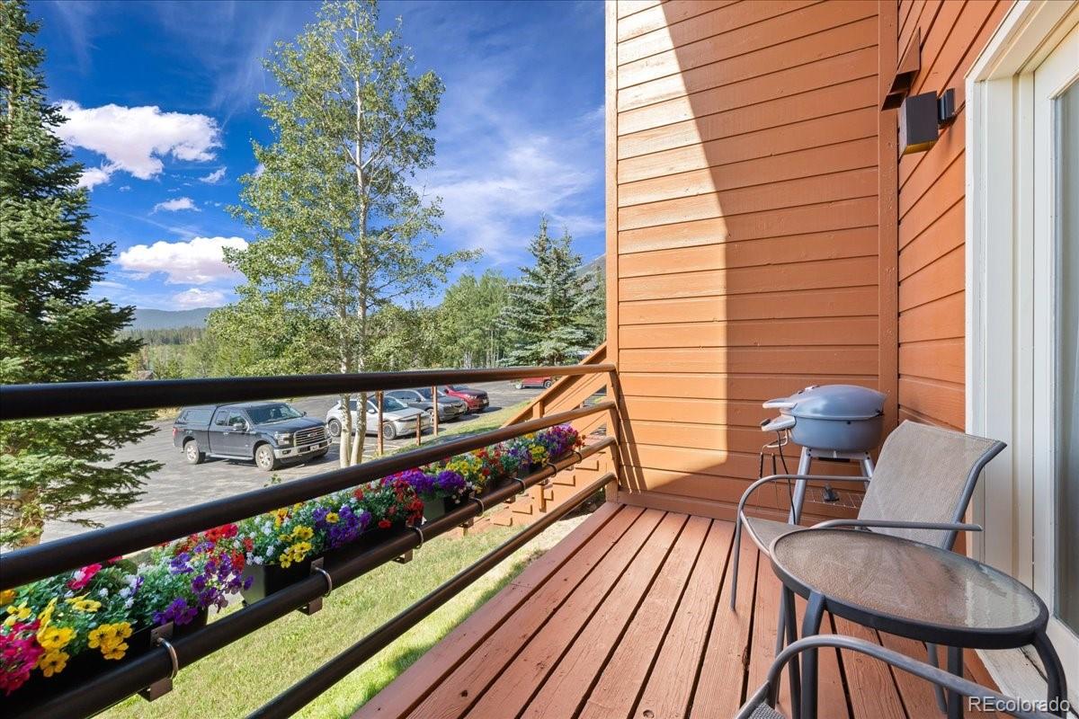 MLS Image #15 for 91300  ryan gulch road,silverthorne, Colorado