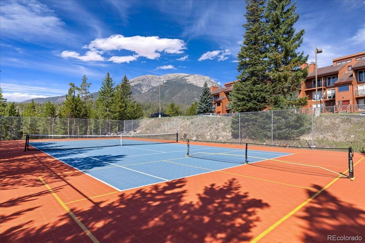 MLS Image #21 for 91300  ryan gulch road,silverthorne, Colorado