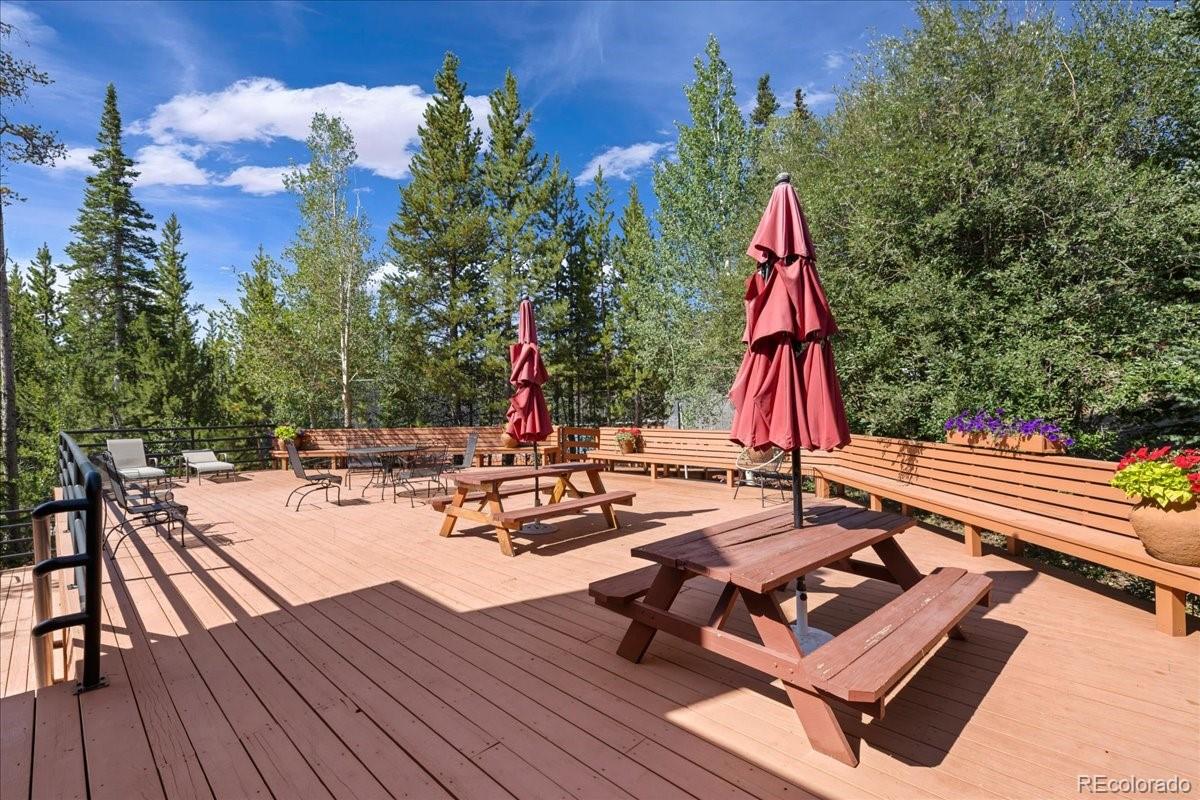 MLS Image #22 for 91300  ryan gulch road,silverthorne, Colorado