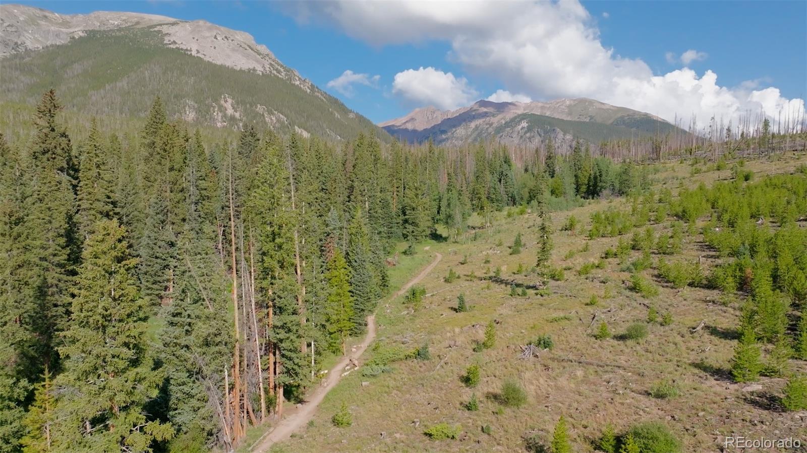 MLS Image #3 for 91300  ryan gulch road,silverthorne, Colorado