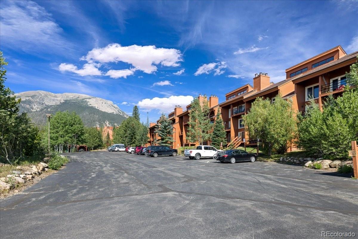 MLS Image #33 for 91300  ryan gulch road,silverthorne, Colorado