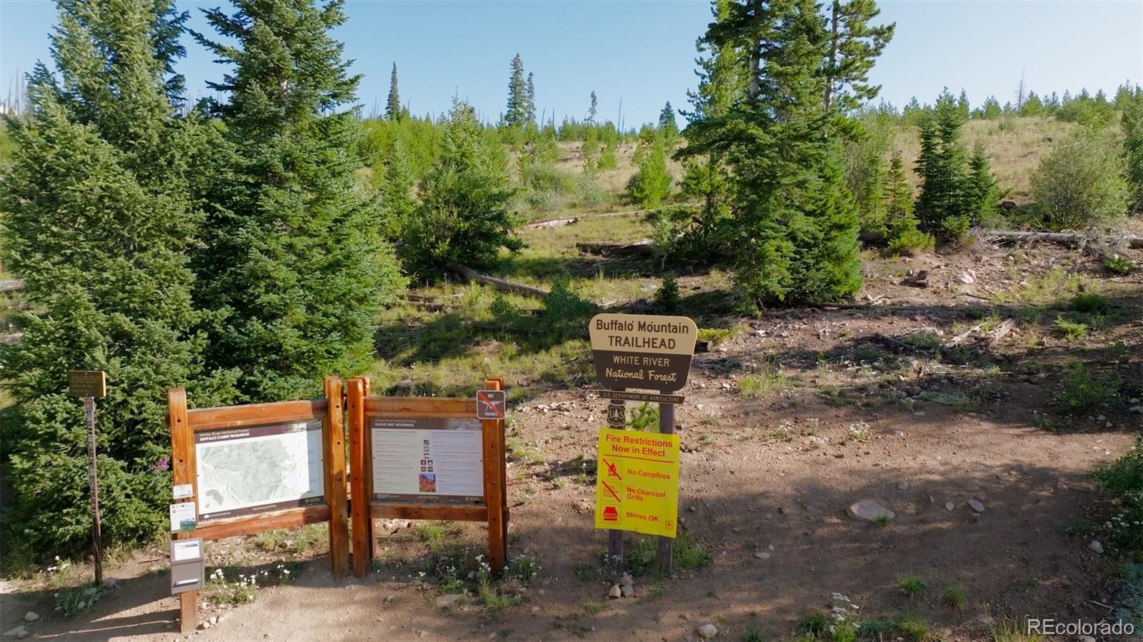 MLS Image #35 for 91300  ryan gulch road,silverthorne, Colorado