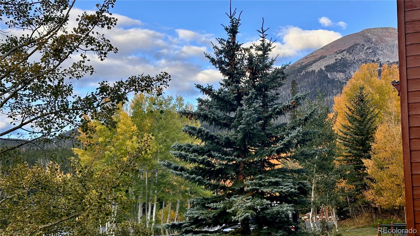 MLS Image #38 for 91300  ryan gulch road,silverthorne, Colorado
