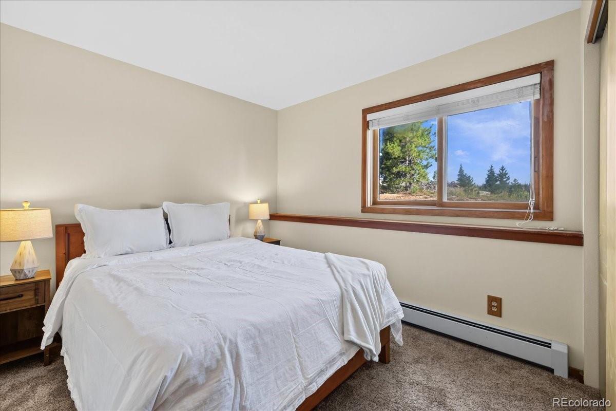 MLS Image #6 for 91300  ryan gulch road,silverthorne, Colorado