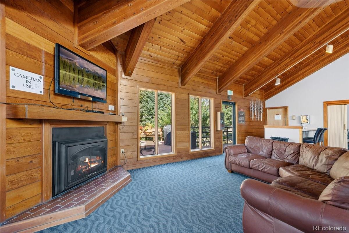 MLS Image #7 for 91300  ryan gulch road,silverthorne, Colorado