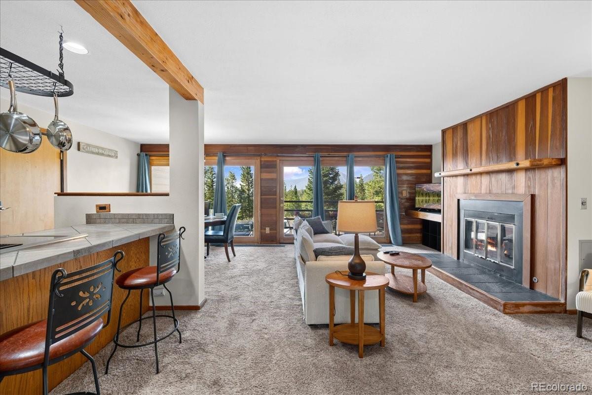 MLS Image #8 for 91300  ryan gulch road,silverthorne, Colorado