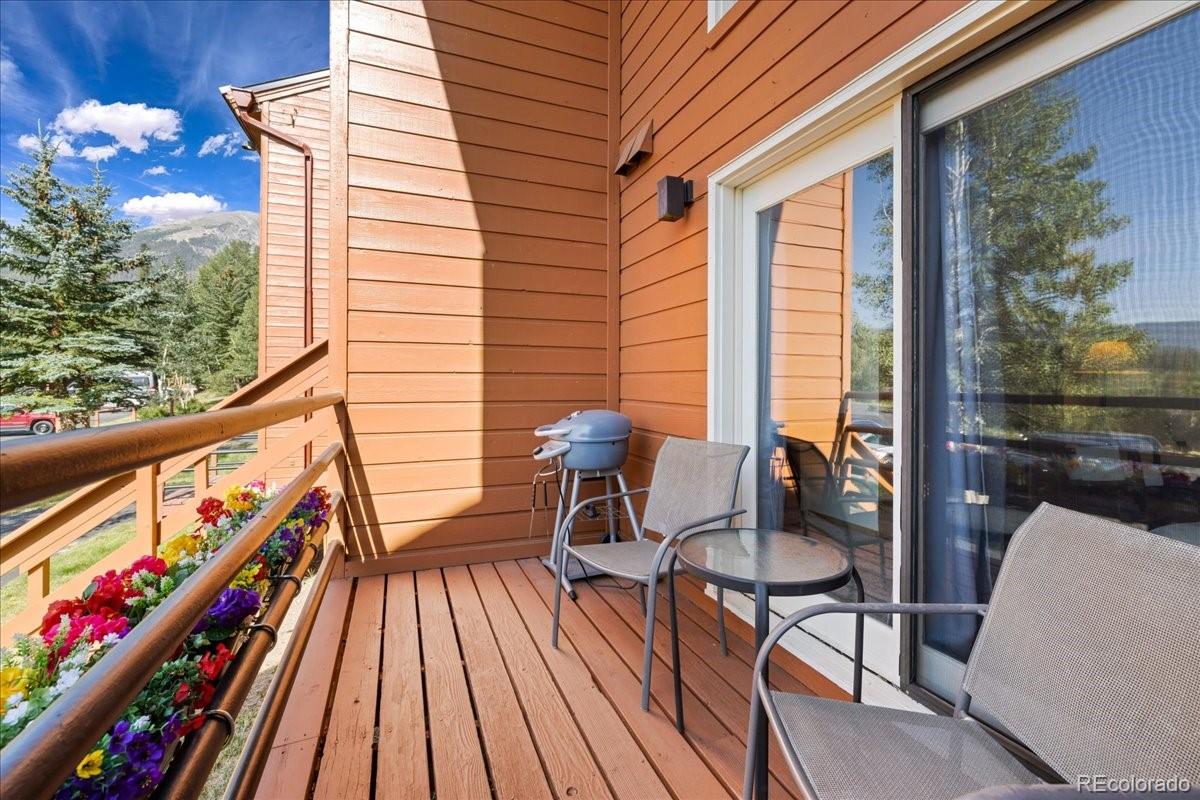MLS Image #9 for 91300  ryan gulch road,silverthorne, Colorado